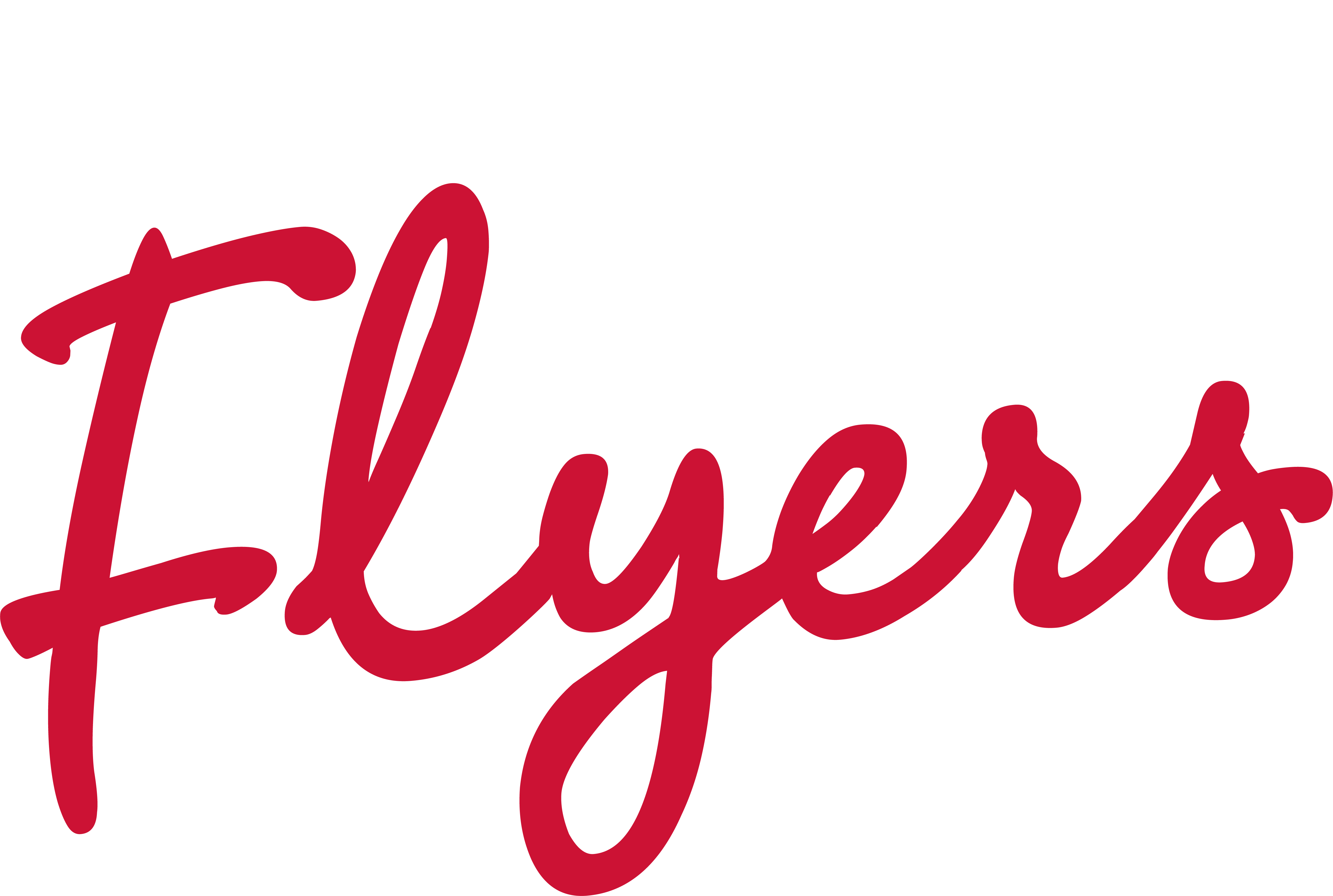 Pontyclun flyers